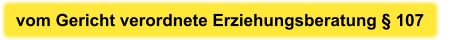 vom Gericht verordnete Erziehungsberatung § 107